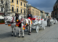 Weekend w Krakowie – jak zobaczyć najwięcej w 48 godzin